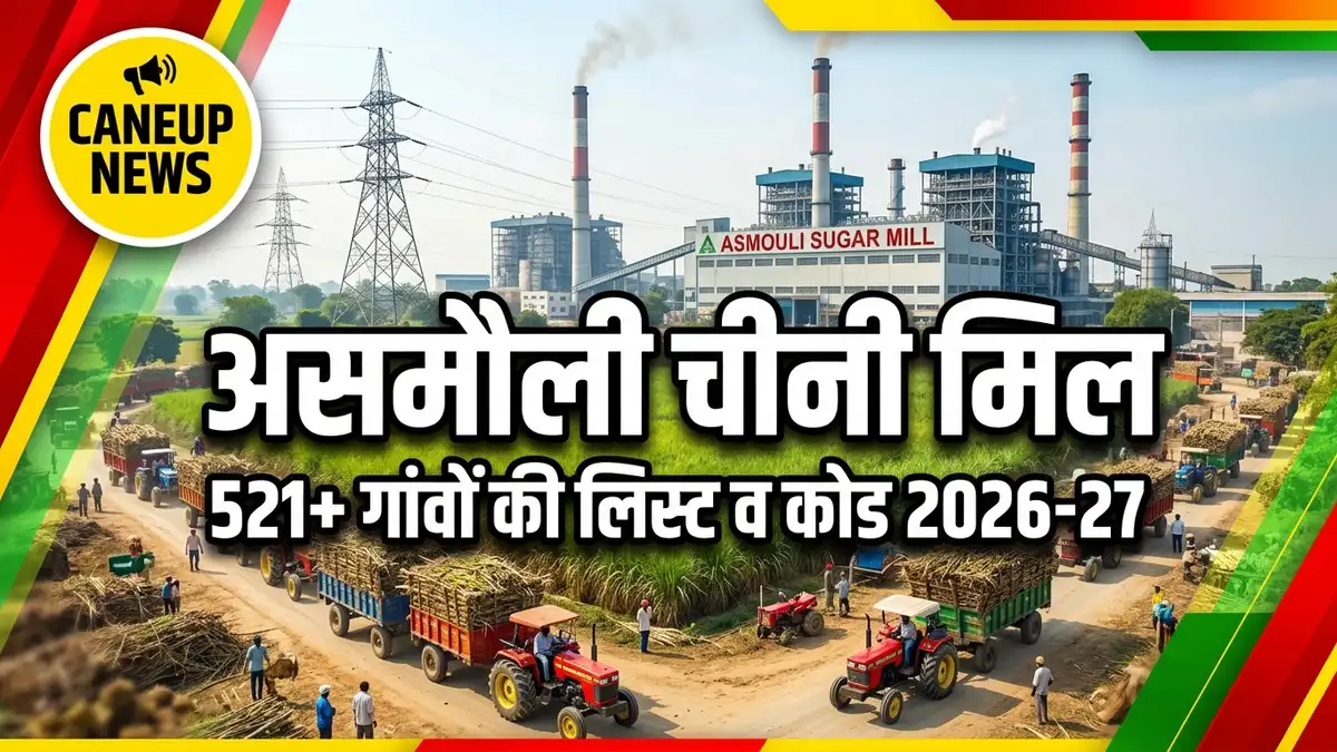 असमौली चीनी मिल 2026-27: 521 गांवों की लिस्ट, कोड व CaneUp पर्ची कैलेंडर | Asmauli Sugar Mill Amroha Sambhal