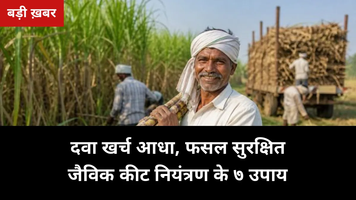 गन्ने में दवा खर्च आधा: ट्राइकोग्राम, ट्राइकोडर्मा, नीम के 7 जैविक उपाय — 2026-27 की पूरी बायोकंट्रोल गाइड
