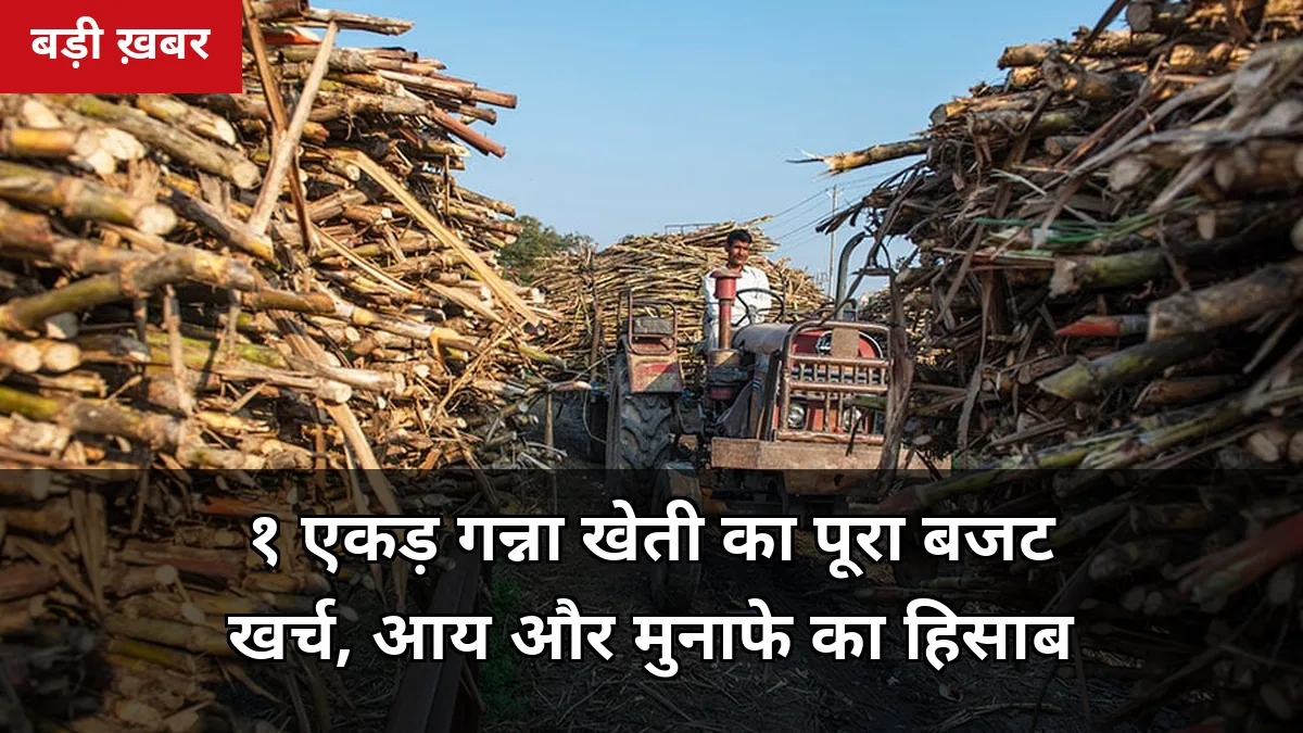 1 एकड़ गन्ना खेती में कितना खर्च और कितना मुनाफा? 2026-27 का पूरा बजट — 7 टेबल में लागत से शुद्ध आय तक