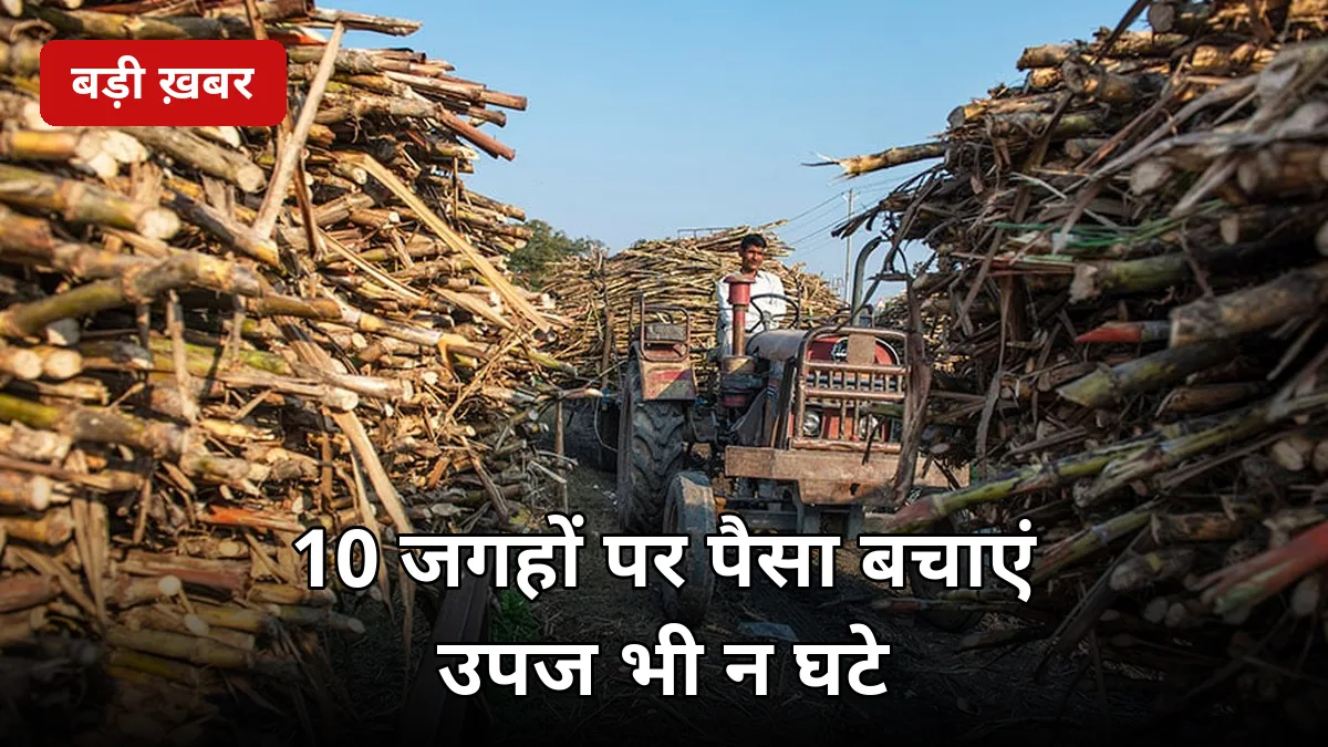 बीज से खाद तक: गन्ने की खेती में 10 जगहों पर पैसा बचाएं, उपज भी न घटे — 2026-27 सीजन की पूरी बचत गाइड