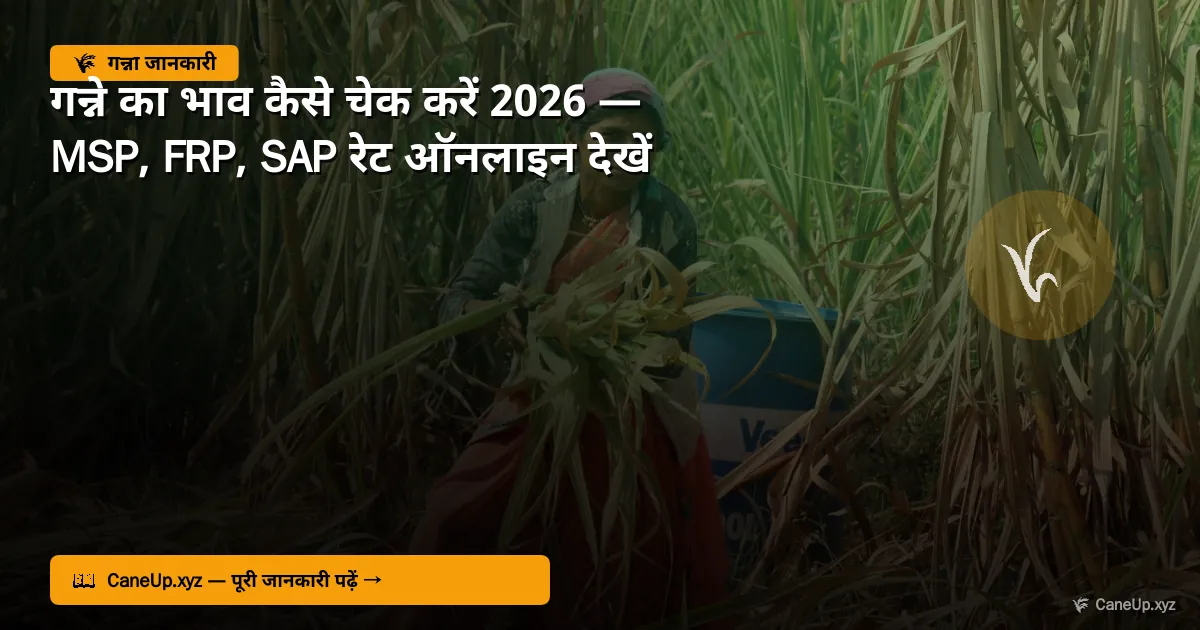 गन्ने का भाव कैसे चेक करें 2026 — MSP, FRP, SAP रेट ऑनलाइन देखें