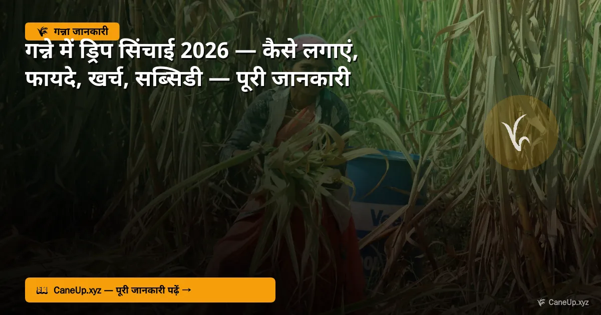 गन्ने में सिंचाई का सही शेड्यूल 2026 — कब, कैसे और कितना पानी दें?