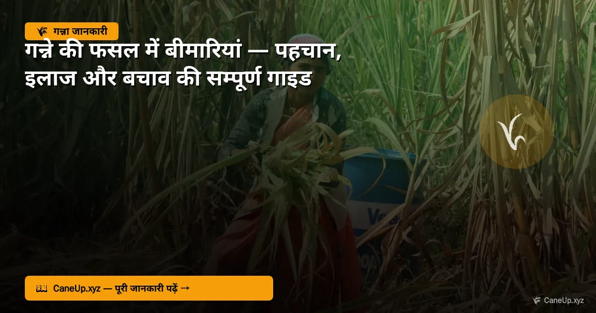 गन्ने की फसल में बीमारियां 2026 — पहचान, इलाज और बचाव