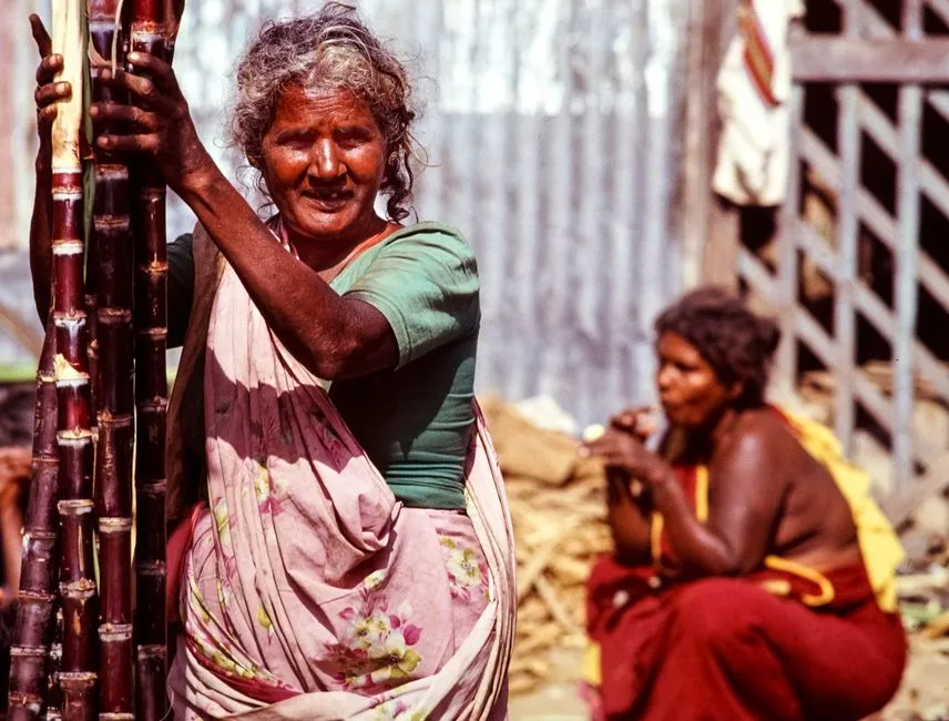 गन्ने की खेती में ये 5 गलतियां करोगे तो नुकसान पक्का है — 2026 में बचें