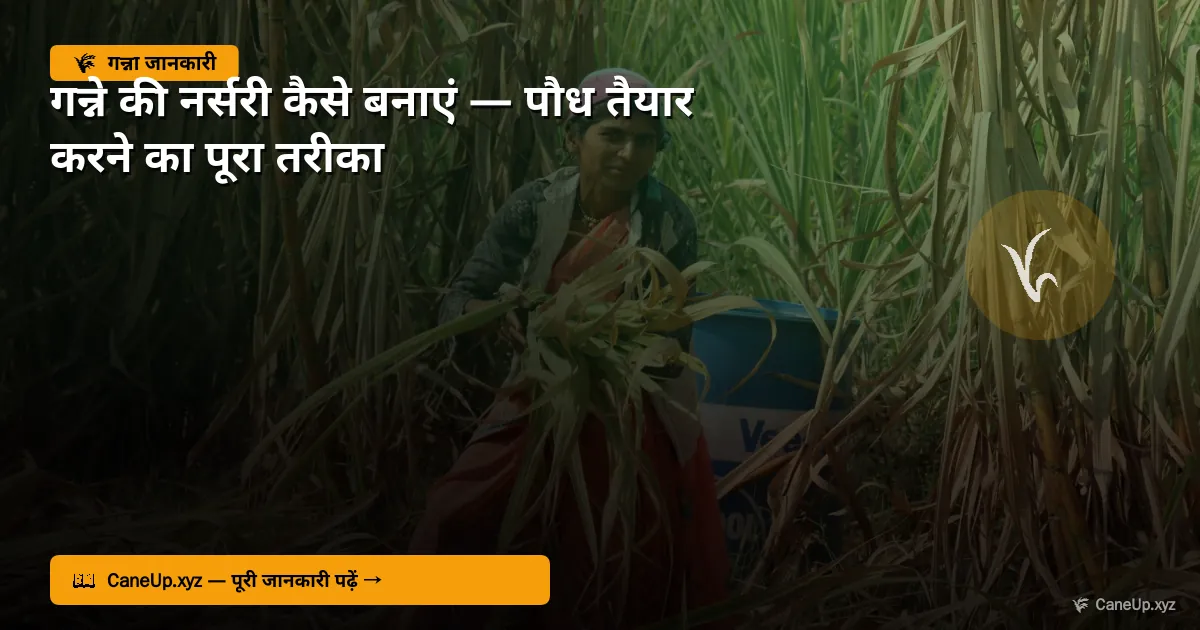 गन्ने की नर्सरी कैसे बनाएं 2026 — पौध तैयार करने का पूरा तरीका