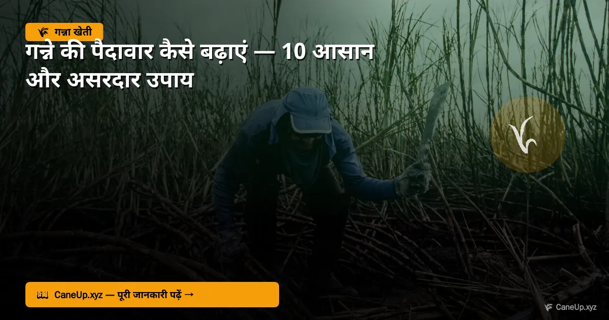 गन्ने की पैदावार कैसे बढ़ाएं 2026 — 10 आसान और असरदार उपाय