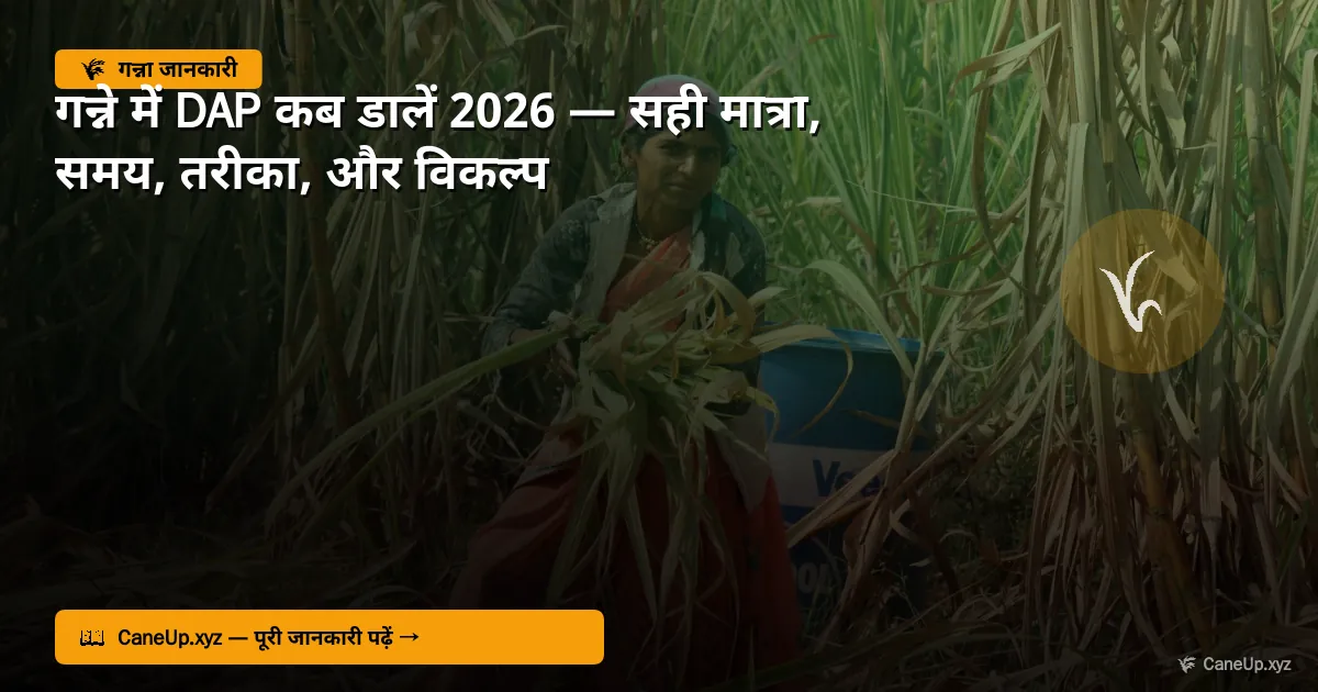 गन्ने में DAP कब डालें 2026 — सही मात्रा, समय, तरीका