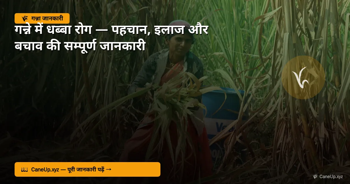 गन्ने में धब्बा रोग 2026 — पहचान, इलाज और बचाव