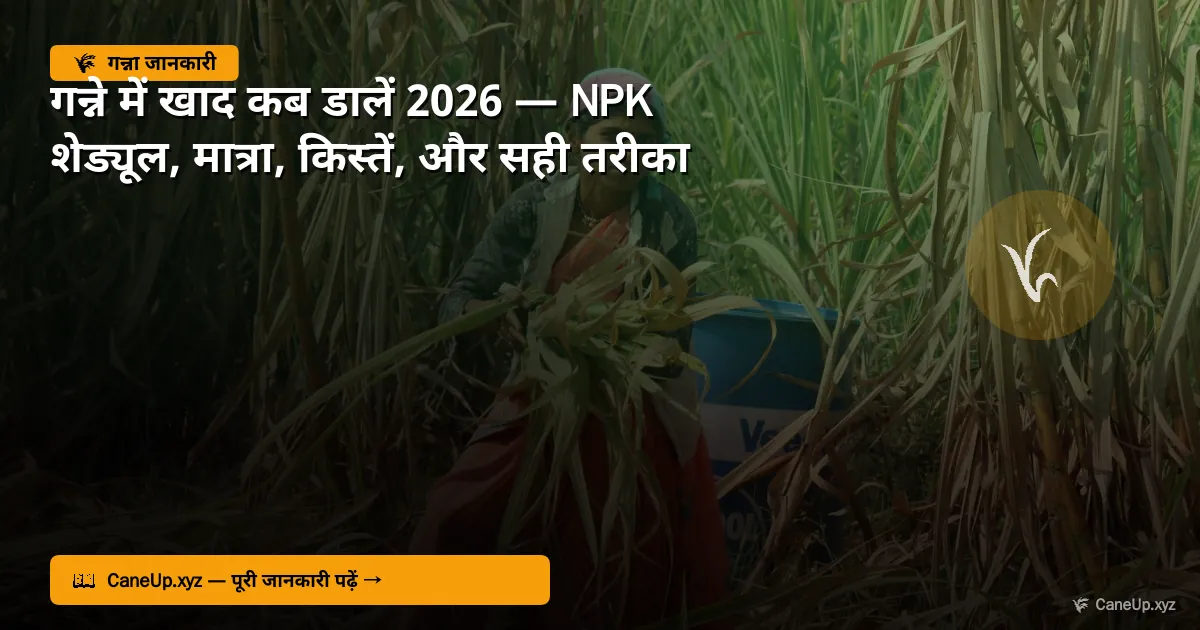 गन्ने में खाद कब डालें 2026 — NPK शेड्यूल, मात्रा