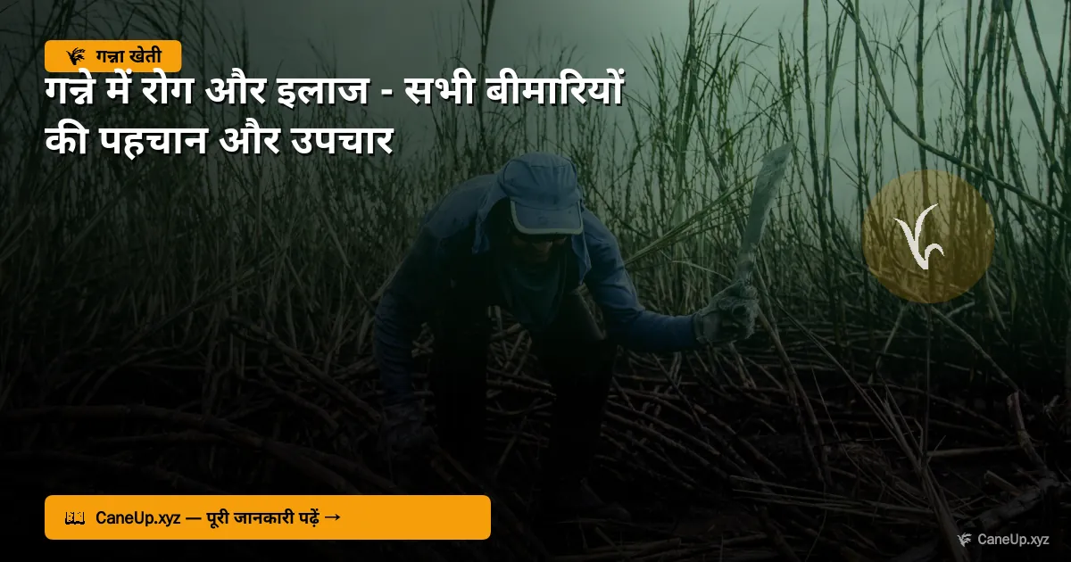 गन्ने में रोग और इलाज 2026 — सभी बीमारियों की पहचान और इलाज