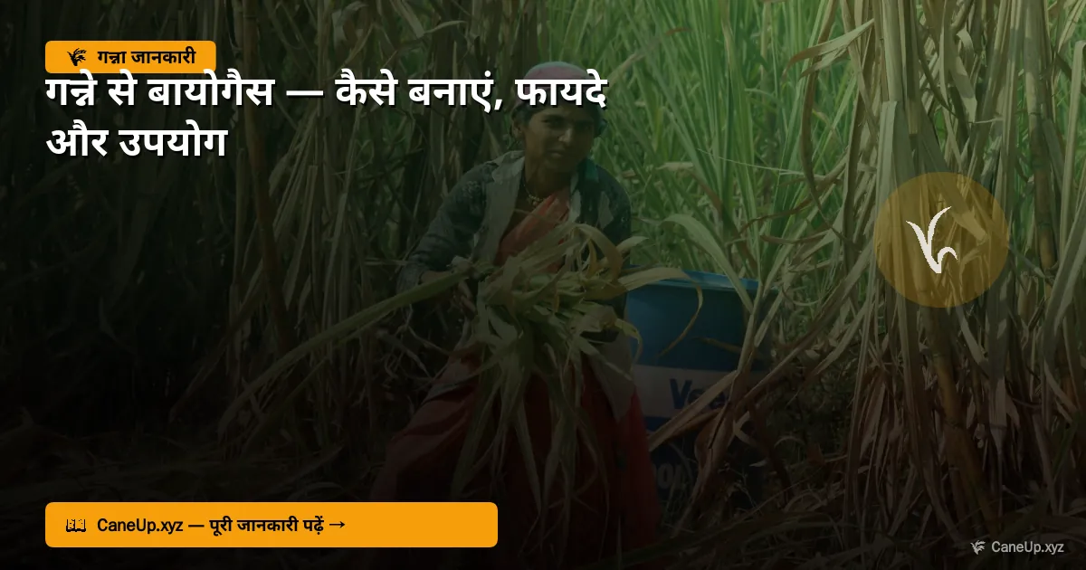 गन्ने से बायोगैस 2026 — कैसे बनाएं, फायदे और उपयोग