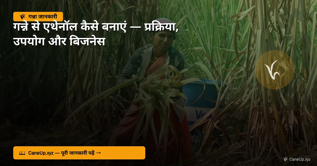गन्ने से एथेनॉल बिज़नेस