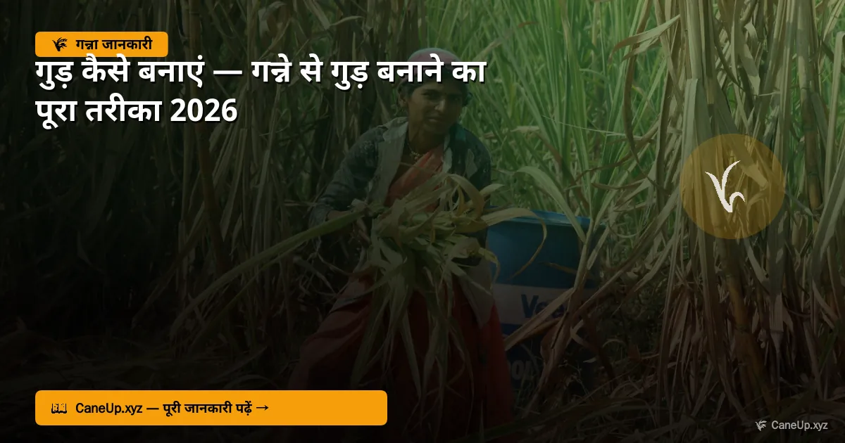 गुड़ कैसे बनाएं 2026 — गन्ने से गुड़ बनाने का पूरा तरीका