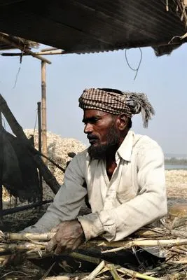 गन्ने की उन्नत किस्म