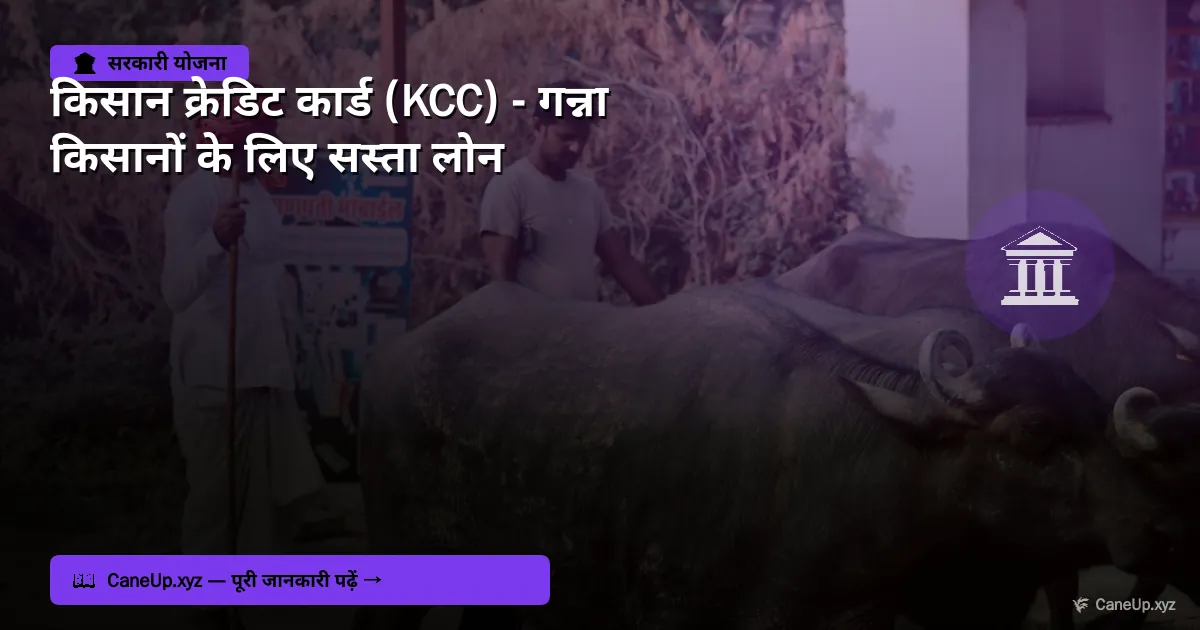 किसान क्रेडिट कार्ड (KCC) 2026 — गन्ना किसानों के लिए पूरी गाइड