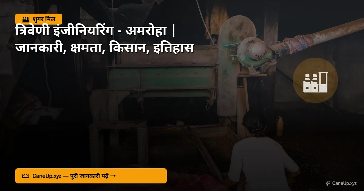त्रिवेणी इंजीनियरिंग अमरोहा 2026 — अमरोहा