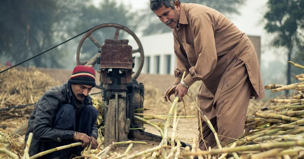गन्ना किसानों के लिए बड़ा फैसला — UP सरकार ने 3 मिलों का लाइसेंस सस्पेंड किया