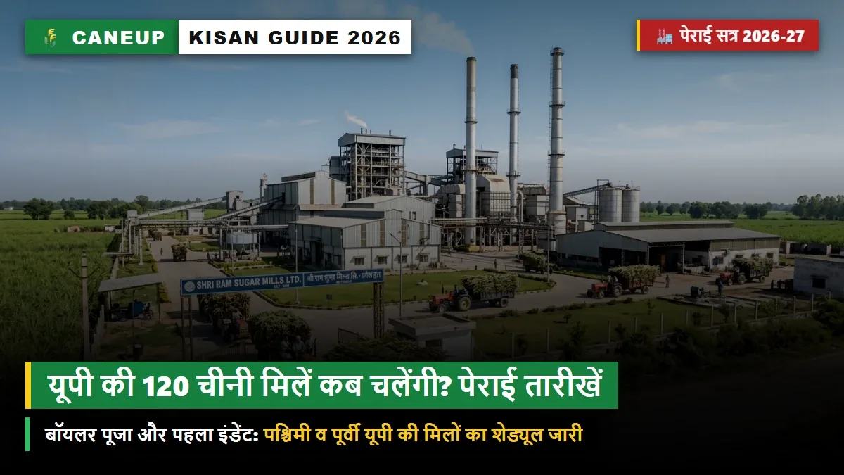 यूपी चीनी मिल पेराई सत्र 2026-27: पश्चिमी व पूर्वी उत्तर प्रदेश की 120 मिलें कब चलेंगी? बॉयलर पूजा तारीखें व पहला इंडेंट शेड्यूल