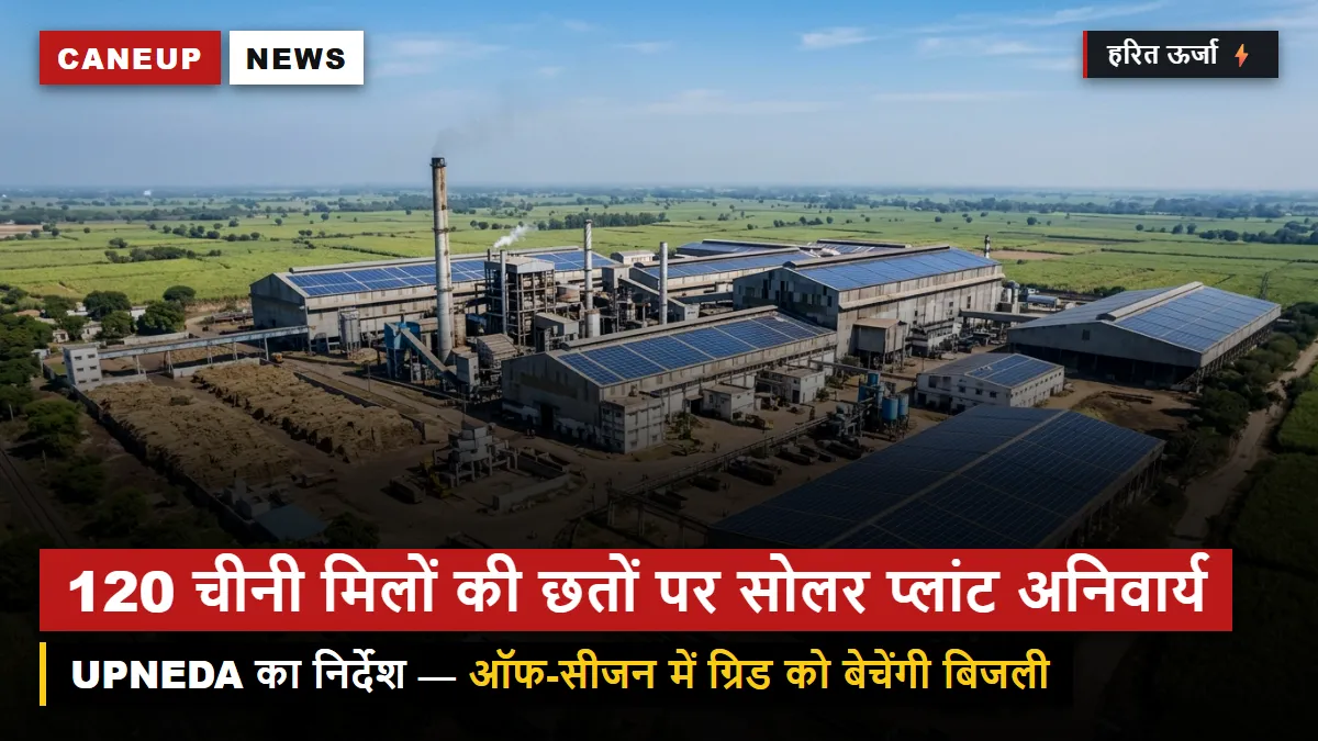यूपी की सभी 120 चीनी मिलों में रूफटॉप सोलर लगाना अनिवार्य — गैर-पेराई सत्र में सौर ऊर्जा से चलेंगे संयंत्र