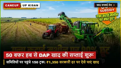खाद किल्लत पर फुल-स्टॉप — 50 बफर हब से सहकारी समितियों पर रवाना हुए DAP के 150 ट्रक, ऐसे पाएं खाद