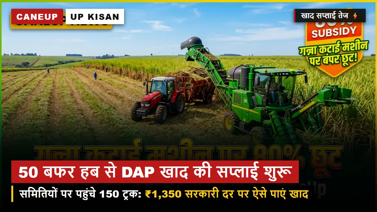 खाद किल्लत पर फुल-स्टॉप — 50 बफर हब से सहकारी समितियों पर रवाना हुए DAP के 150 ट्रक, ऐसे पाएं खाद