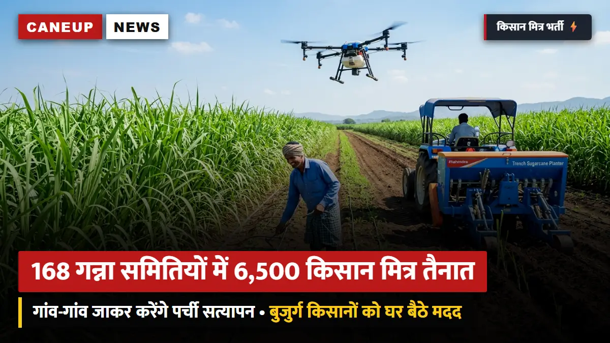 168 गन्ना समितियों में 6,500 'किसान मित्र' तैनात: गांव-गांव जाकर करेंगे पर्ची जांच व किसान कोड सत्यापन — हेल्पलाइन से सीधे जुड़े