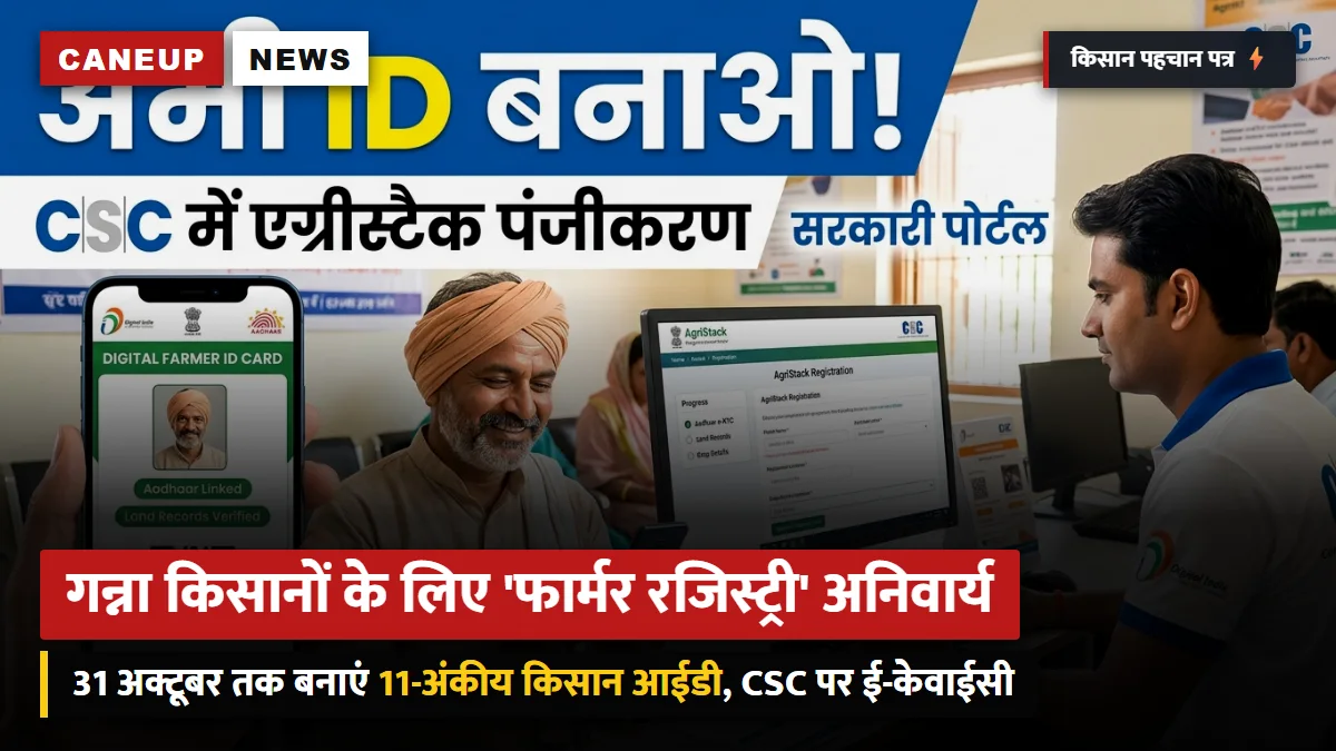 गन्ना किसानों के लिए एग्रीस्टैक 'फार्मर रजिस्ट्री' अनिवार्य: 31 अक्टूबर तक बनाएं डिजिटल किसान आईडी — सट्टा पर्ची और डीबीटी के लिए सीएससी पर ऐसे कराएं ई-केवाईसी