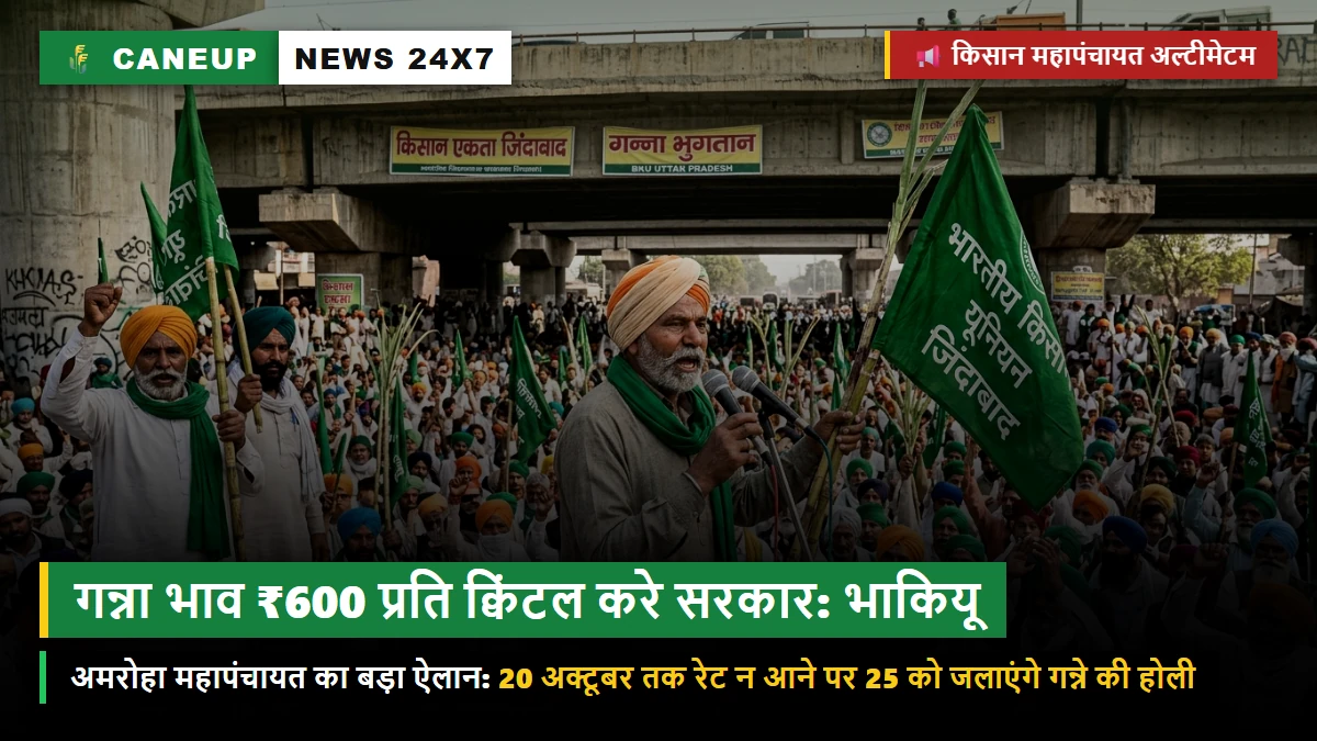 अमरोहा किसान महापंचायत में गूंजा ₹600/क्विंटल गन्ना भाव का नारा — भाकियू का अल्टीमेटम: 20 अक्टूबर तक दर घोषित न हुई तो 25 को जलेगी गन्ने की होली