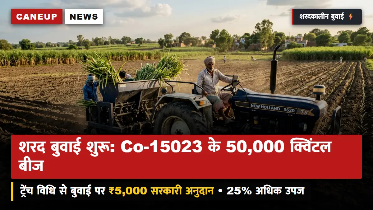 शरदकालीन गन्ना बुवाई 2026 का शंखनाद: शाहजहांपुर शोध परिषद ने जारी किए Co-15023 व Co-0118 के 50,000 क्विंटल बीज — ट्रेंच विधि पर ₹5,000 अनुदान