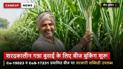 शरदकालीन गन्ना बुवाई के लिए बीज बुकिंग शुरू — Co-15023 व CoS-17231 के प्रमाणित बीज पर सब्सिडी