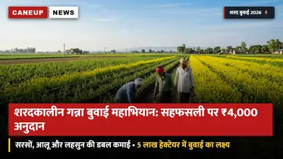 शरदकालीन गन्ना बुवाई महाभियान शुरू: 5 लाख हेक्टेयर का लक्ष्य — सरसों, आलू व लहसुन सहफसली खेती पर प्रति एकड़ ₹4,000 प्रोत्साहन