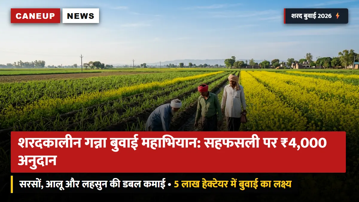 शरदकालीन गन्ना बुवाई महाभियान शुरू: 5 लाख हेक्टेयर का लक्ष्य — सरसों, आलू व लहसुन सहफसली खेती पर प्रति एकड़ ₹4,000 प्रोत्साहन