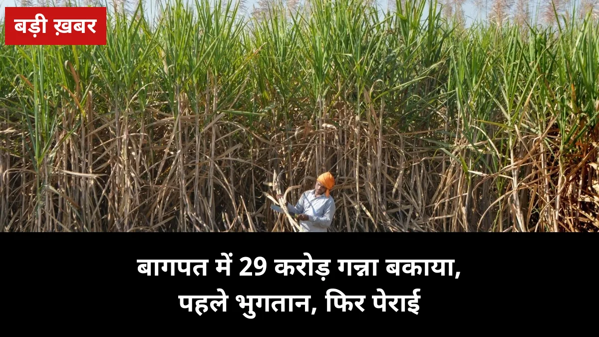 बागपत में 29 करोड़ गन्ना बकाया पर नोटिस: मलकपुर सहित 6 चीनी मिलों के खिलाफ आरसी, पेराई से पहले भुगतान का आदेश