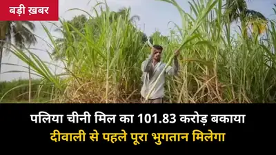 101.83 करोड़ बकाया: पलिया बजाज मिल का लिखित आश्वासन — 1 अक्टूबर से 7% भुगतान, दीवाली से पहले पूरा पैसा