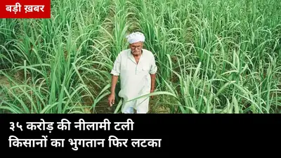 35 करोड़ की नीलामी टली, तहसील में हंगामा: बरेली की केसर मिल के किसानों का गन्ना भुगतान फिर लटका, सोमवार पर टिकी आस