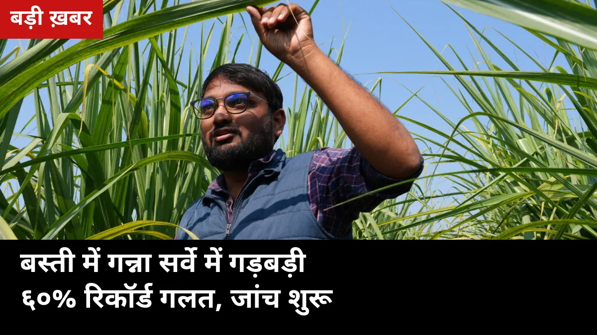 बस्ती में गन्ना सर्वे की पोल खुली: खेत में 94184 प्रजाति, रिकॉर्ड में दर्ज 5191 रिजेक्ट — 60% सर्वे गलत, जांच रिपोर्ट शासन को