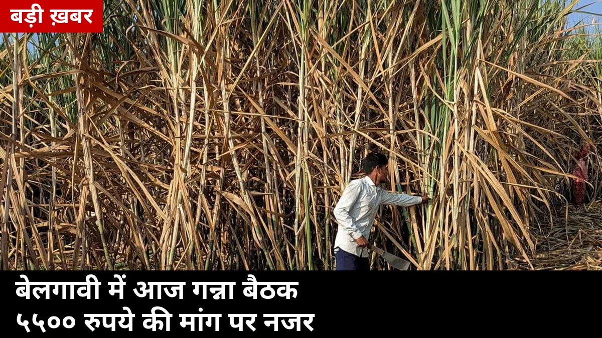 बेलगावी में आज 11 बजे मिल मालिकों और 3:30 बजे किसानों से मिलेंगे सीएम, ₹5500/टन पर फैसला नहीं तो कल बंद की चेतावनी