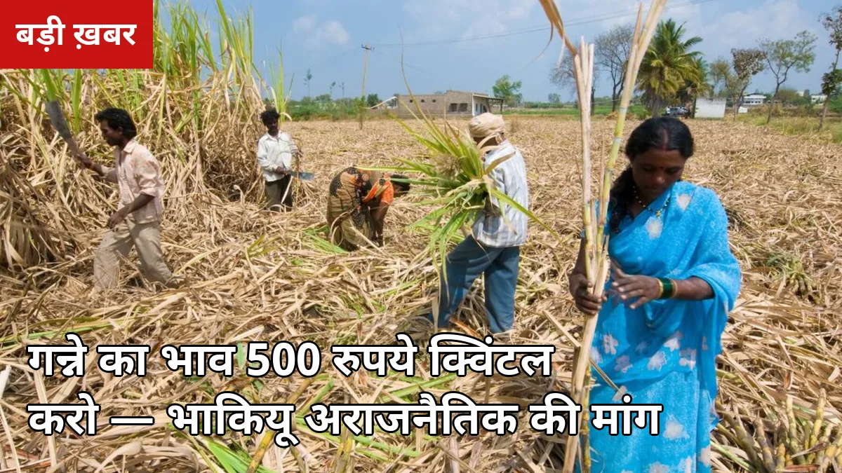 गन्ना ₹500 प्रति क्विंटल करो: लखनऊ में अपर मुख्य सचिव से मिले भाकियू अराजनैतिक नेता, बोले – कोल्हू पर 480 मिल रहा है