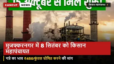 मुजफ्फरनगर में 8 सितंबर को किसान महापंचायत का ऐलान — गन्ने का भाव ₹450 प्रति क्विंटल घोषित करने की मांग