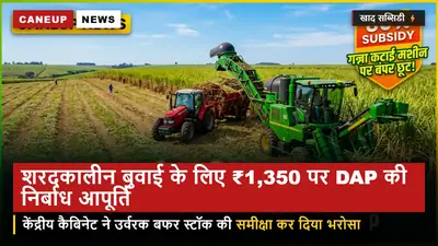 केंद्रीय कैबिनेट का भरोसा — शरदकालीन गन्ना बुवाई के लिए ₹1,350/बोरी पर डीएपी की निर्बाध आपूर्ति रहेगी जारी