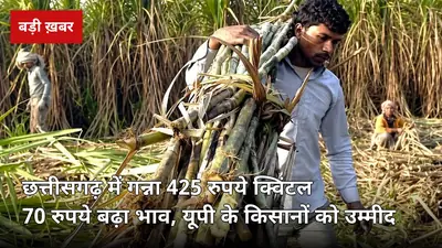 छत्तीसगढ़ में गन्ना ₹425/क्विंटल: 70 रुपये बढ़ा भाव, यूपी के किसानों की नजर अब 2026-27 SAP घोषणा पर — जानिए असर