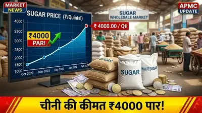 चीनी ₹4,000/क्विंटल पार — मिलों की चांदी, किसानों को कब मिलेगा SAP बढ़ोतरी का फायदा?