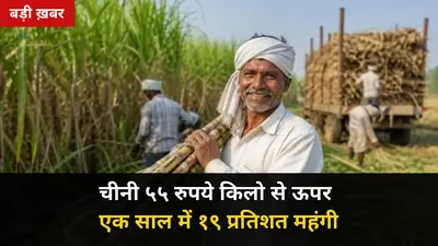 चीनी ₹55 किलो से ऊपर: 1 साल में 19% महंगी, गुड़ ₹600-700 टूटा — किसान गन्ना मिल को दें या कोल्हू को?