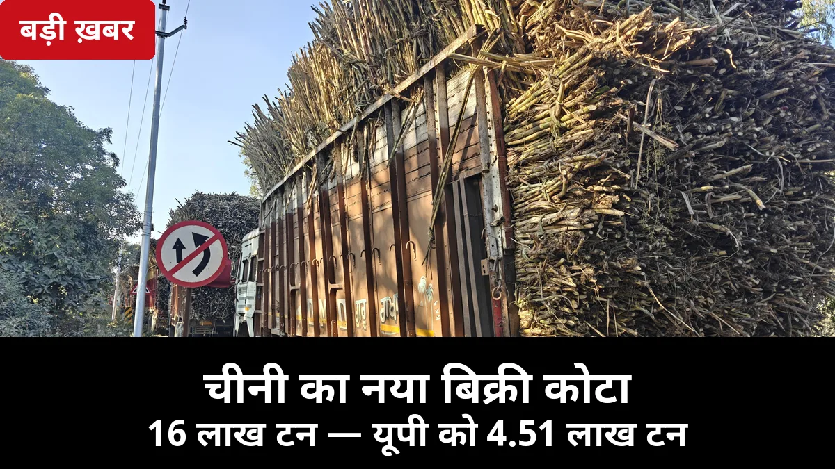16 लाख टन चीनी का नया कोटा जारी: 10 दिन में भाव ₹1000 बढ़े, यूपी को 4.51 लाख टन — किसानों के लिए क्या मतलब है