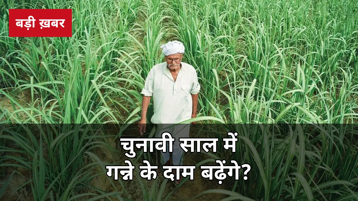 2027 चुनाव से पहले गन्ना मूल्य कितना बढ़ेगा? ₹400 से ₹500 की मांग, 23 अक्टूबर को बड़ा आंदोलन — पूरी गणित जानिए