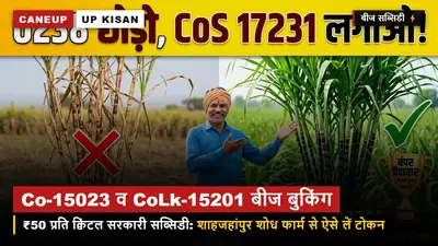 शरद बुवाई के लिए Co-15023 व CoLk-15201 बीज की बुकिंग शुरू — ₹50 प्रति क्विंटल सब्सिडी के साथ ऐसे लें टोकन