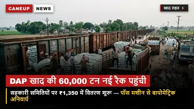 DAP खाद की 60,000 मीट्रिक टन नई रैक पश्चिमी यूपी पहुंची — सहकारी समितियों पर ₹1,350 की दर से प्रति किसान 2 बोरी आवंटन शुरू