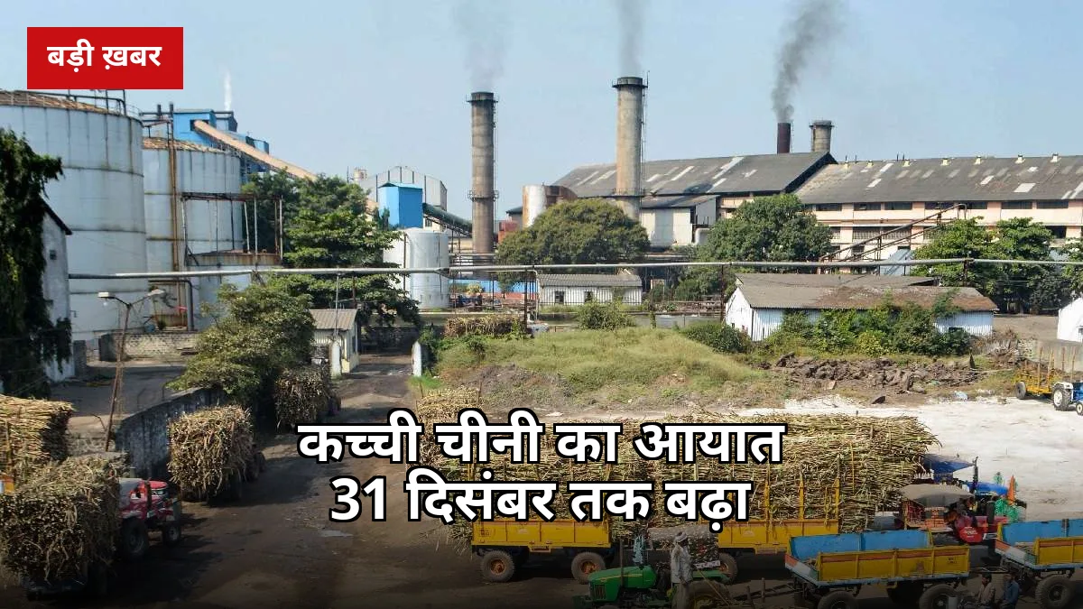 10 लाख टन कच्ची चीनी का ड्यूटी-फ्री आयात अब 31 दिसंबर तक, जानें गन्ना किसानों पर इसका असर