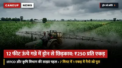12 फीट ऊंचे गन्ने में ड्रोन से होगा नैनो डीएपी व कीटनाशक स्प्रे: प्रति एकड़ सिर्फ ₹250 खर्च — इफको और कृषि विभाग ने शुरू की बुकिंग