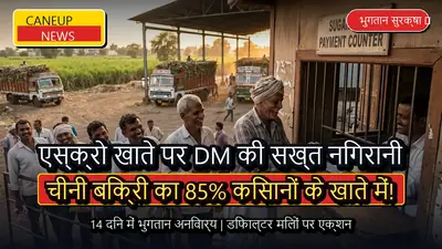 चीनी मिलों के एस्क्रो खाते पर जिलाधिकारियों की पैनी नजर, बिक्री का 85 प्रतिशत सीधे किसानों के भुगतान खाते में जाएगा